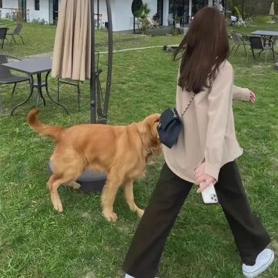 闹剧谜案